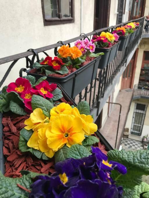 Perfect Location,Newly Decorated Modern, Large Place 60 M2, Really Quiet So You Can Have A Good Night Sleep, Ac, Netflix, Smart Tv, High-Speed Internet, World Famous New York Cafe Only 10 Minutes Walk Budapest Eksteriør billede