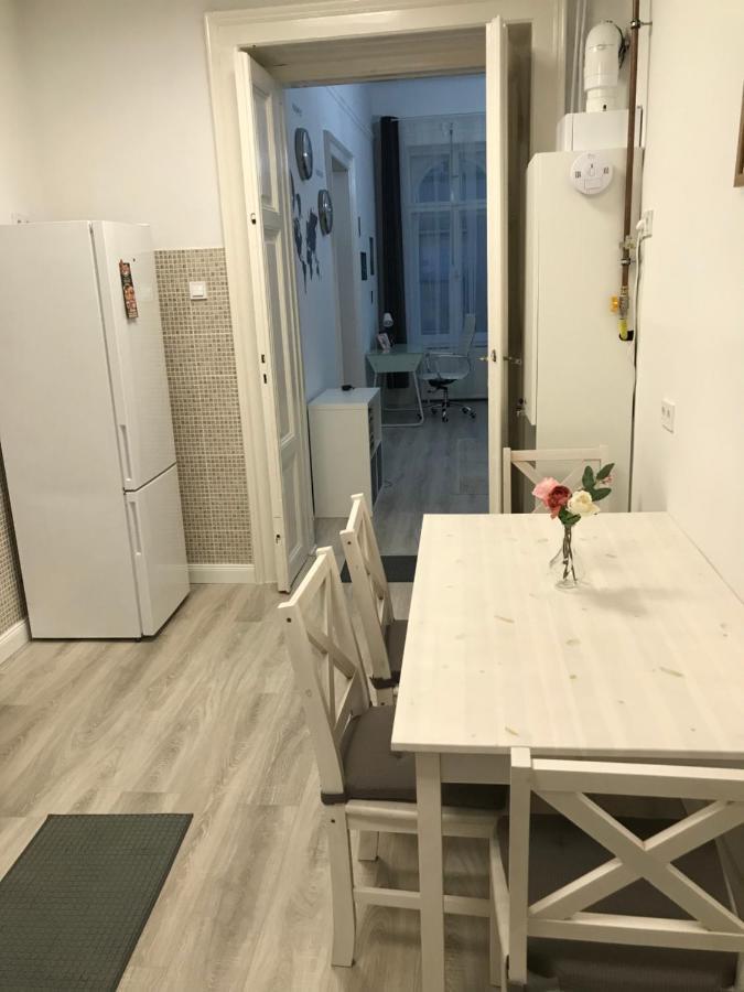 Perfect Location,Newly Decorated Modern, Large Place 60 M2, Really Quiet So You Can Have A Good Night Sleep, Ac, Netflix, Smart Tv, High-Speed Internet, World Famous New York Cafe Only 10 Minutes Walk Budapest Eksteriør billede